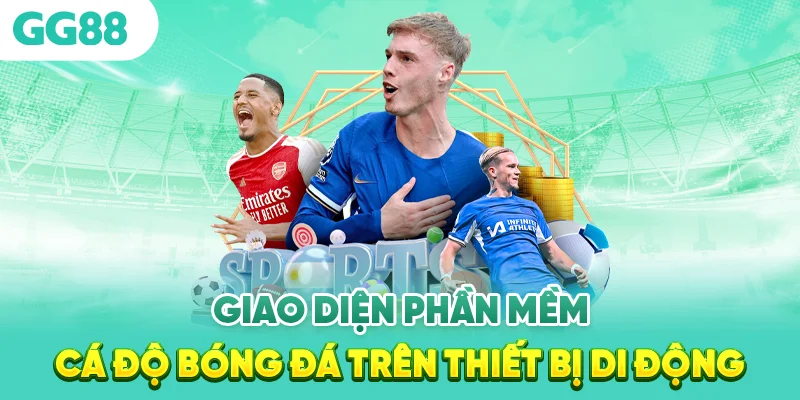 Phần mềm cá cược bóng đá Dùng Như Nào?